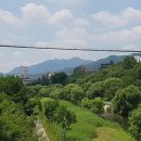 이레부동산중개사무소 이미지