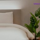 아늑 호텔 신촌점 | [서울/모텔/가격/후기] Urbannord Hotel 신촌 Urbannord Hotel, 아늑함이 묻어나는 공간