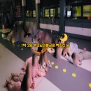 승리윈태권도 네이버블로그