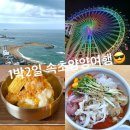 풀조명~ 원상동 정미소 | 속초 양양 1박2일 여름휴가⭐️[1일차 속초 여행일정, 맛집, 숙소추천]