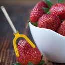 엠텍코리아 이미지