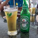 피닉스클럽 이미지