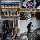 해오름아파트 앞 사거리 이미지