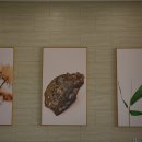 하동 플라이웨이 케이블카 이미지