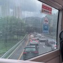 씨제이올리브영(주)선릉타운점 | 7월 4주차 일상(올리브영선릉타운, 복지관 봉사, 복지관 행사, 00적사고 테스트, 셀프젤네일 후기)