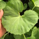 이주농장 이미지