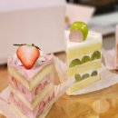 금릉소공원 | [충주 케이크 맛집] 칠금동 카페 오케잇 생크림 케이크 맛집 조각 케이크 맛집 내돈내산 솔직후기