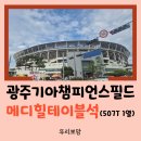 김도영 | [자유부인 일상] 광주기아챔피언스필드 메디힐테이블석 김도영 20호 홈런 직관 후기 (6/16 KIA vs LG)
