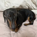 우리골프학교 | [10월] 지금까지