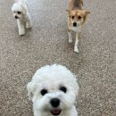 순둥이유치원 이미지