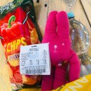 탐라호스텔 | 플릭스 버스타고, 뉘른베르크에서 프라하 가는 길 : 20251017 (1)