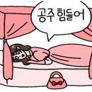 블루샥포항 - 포항시 남구 효성로 27-1 | 블루샥포항