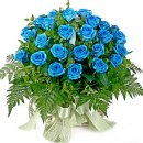 둥개둥개 이미지