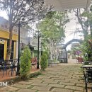 카페로빈(CAFE로빈) 이미지