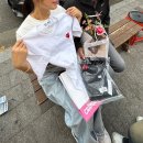 꿀돼지왕소금구이동천점 | 생일 주간