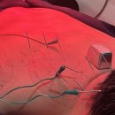 진심과정성 한의원 이미지