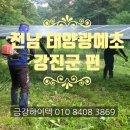 대조리제2 태양광발전소 | 전라남도 강진 태양광 예초 후기( 전남 강진군 편)