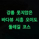 시흥동물약국 | 강릉 못지않은 바다뷰 시흥 오이도 둘레길 코스