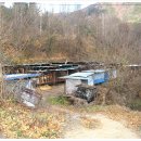 동량초 서운분교 이미지