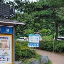 낙동강 레포츠밸리 구지오토캠핑장 | 구지오토캠핑장 낙동강레포츠밸리 카라반 물놀이