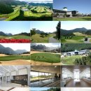 로얄종합카 이미지