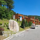 국립 춘천 숲체원 숙박 후기｜춘천 아이랑 가기 좋은 가족여행 숙소 추천