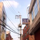 코코로네일 이미지