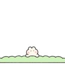이지렌터카(주) 이미지