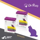 한국반려동물영양연구소 이미지