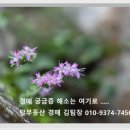 네오림한의원 이미지