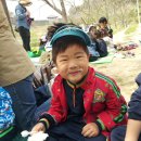 남일초병설유치원 이미지