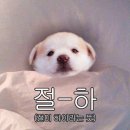 카페원플러스원 - 동구 남목18길 27 | 카페원플러스원