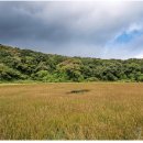 태수목장 이미지