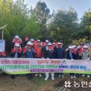 성산일출봉농업협동조합신산지점 이미지