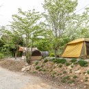 가야산 캠핑장 이미지