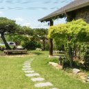 채림농장 이미지