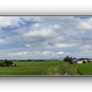 가나안농장 이미지