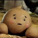 강아지 똥 이미지