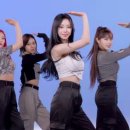 태양태권도장 이미지