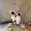 탐모라 수영장 이미지