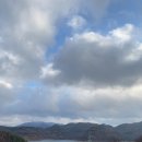 충북 보은 대청호 파인트리 펜션 다녀왔어요(ft. 바베큐 식당, 카페 가 같이 있는 펜션)