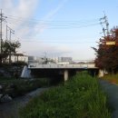 11월 4일 일자산(서울둘레길 8~7코스=1) 이미지