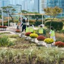 하늘정원 이미지