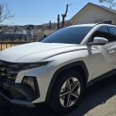 행복한 카 스토리 이미지