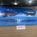 신동해바다 이미지