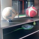 루 펜션 | 대부도 단체풀빌라 추천 20명도 넉넉! 놀 거리 많은 루펜션