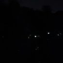 반딧불마트(시장) 이미지