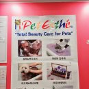 SM펫살롱 이미지