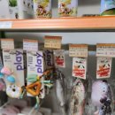 펫클럽 양정점 이미지