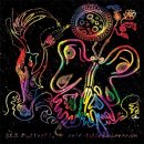 꿈꾸는 나비 이미지